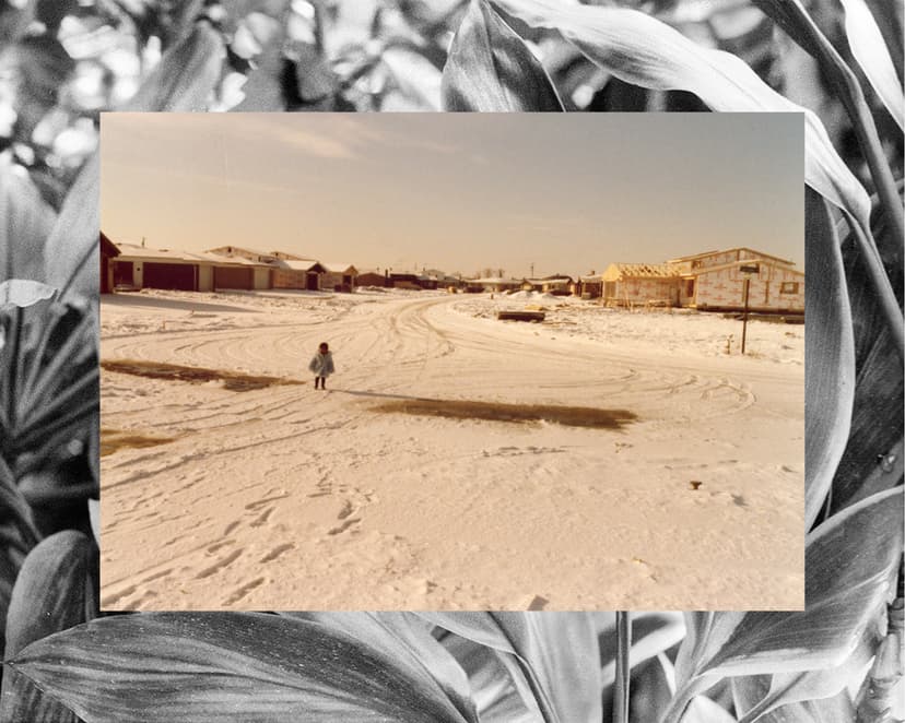 new suburbia